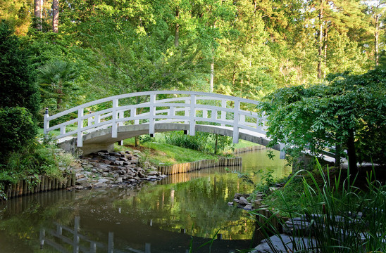 公園