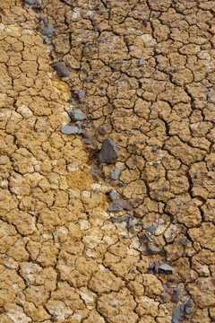 dirt