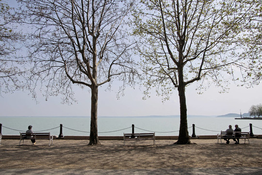在balatonfred巴拉頓湖