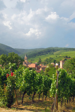 weindorf希波維爾阿爾薩斯