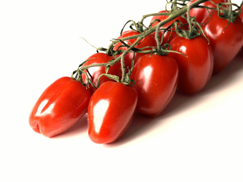 strauchtomaten
