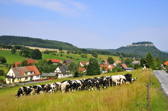 Koenigstein