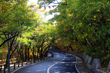 景區(qū)公路風(fēng)景