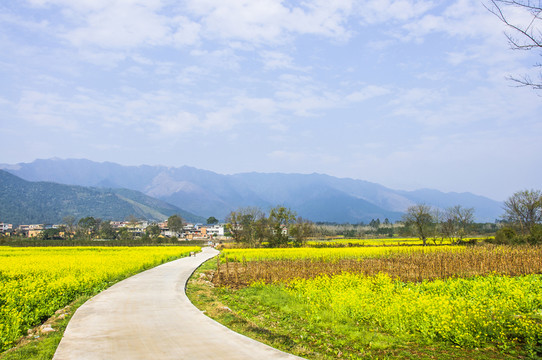鄉(xiāng)村小路