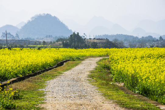 鄉(xiāng)村小路