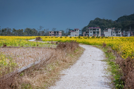 鄉(xiāng)村小路