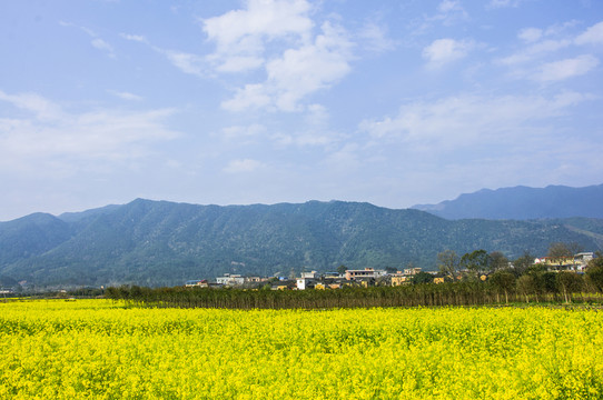 田園風光