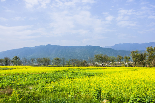田園風(fēng)光