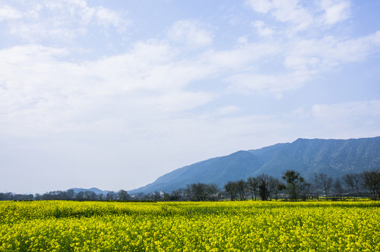 田園風(fēng)光
