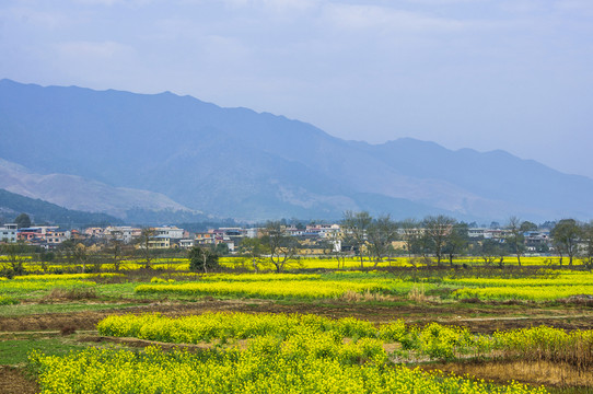 田園風(fēng)光
