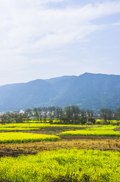 田園風光