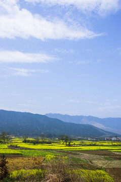 田園風(fēng)光
