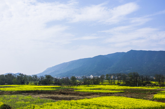 田園風(fēng)光