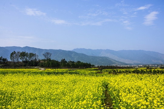 田園風(fēng)光