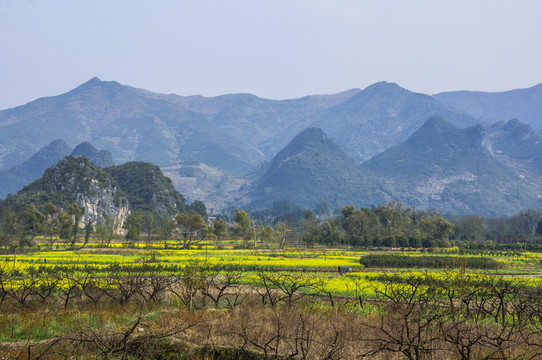 田園風(fēng)光