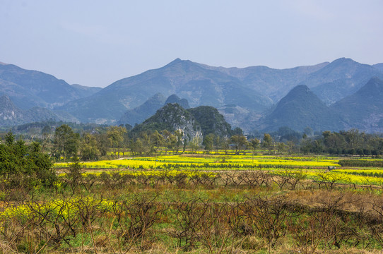 田園風(fēng)光