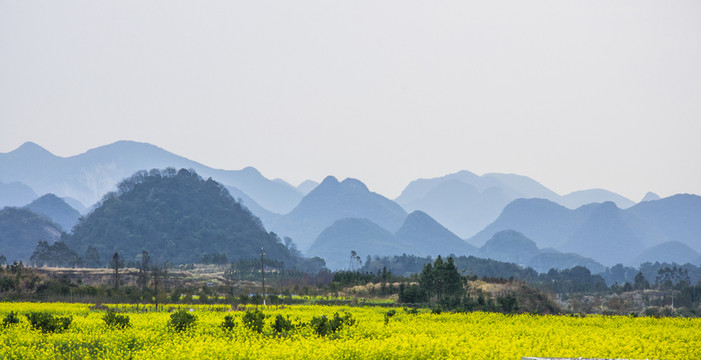 田園風(fēng)光