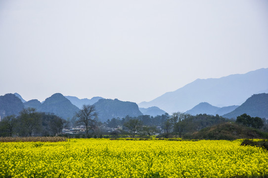 田園風(fēng)光