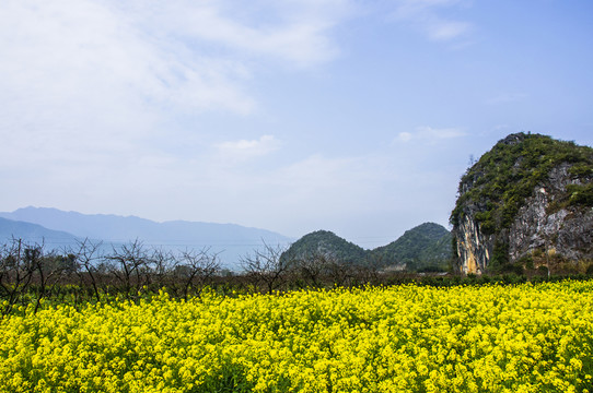 多彩田園