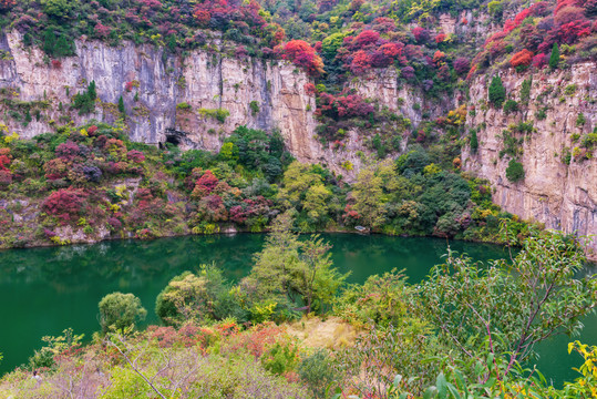 山中紅葉