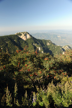 秀美蒙山