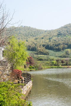 黃龍峴村景