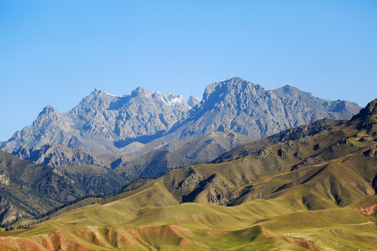 祁連山 卓爾山 雪山 草地 山