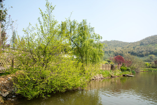 黃龍峴村景