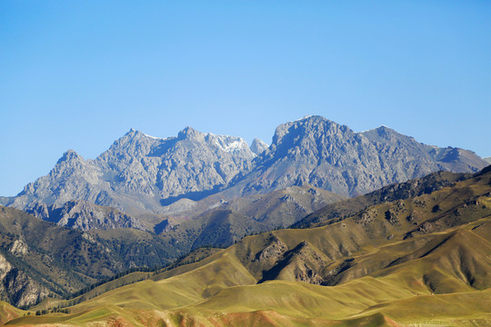 祁連山 卓爾山 雪山 草地 山