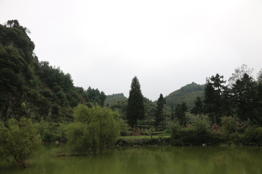 菱角塘