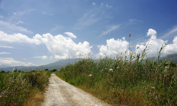 sommerweg