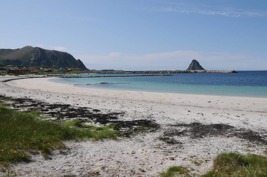 安德內(nèi)斯