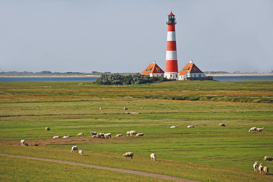 westerhever