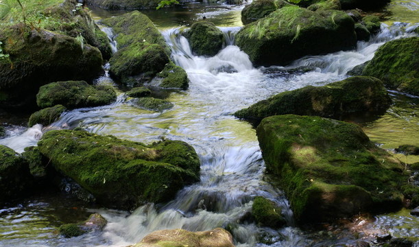 它rauscht