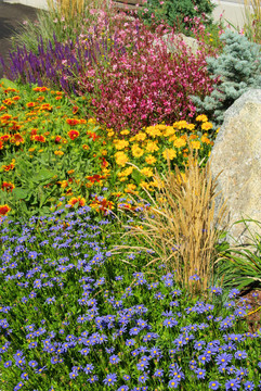 gartenmargerite花園瑪格麗特07