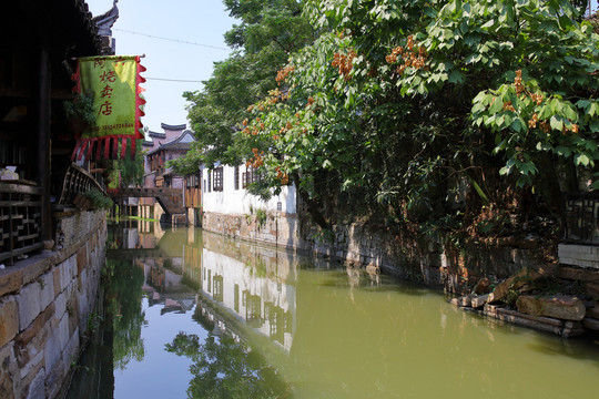 楓涇古鎮(zhèn) 江南水鄉(xiāng) 江南古鎮(zhèn)