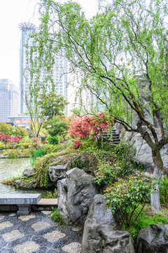 江寧織造博物館園林景觀