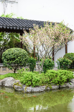 江寧織造博物館園林景觀