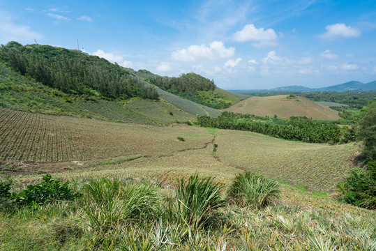 山欽灣