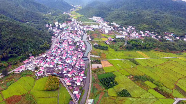 丁香