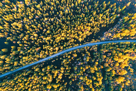 秋季林海公路 航拍