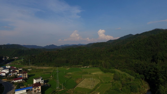 中藥村基地