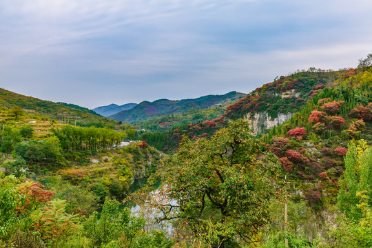 鎮(zhèn)門峪秋色