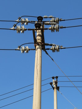 輸電線 電線桿