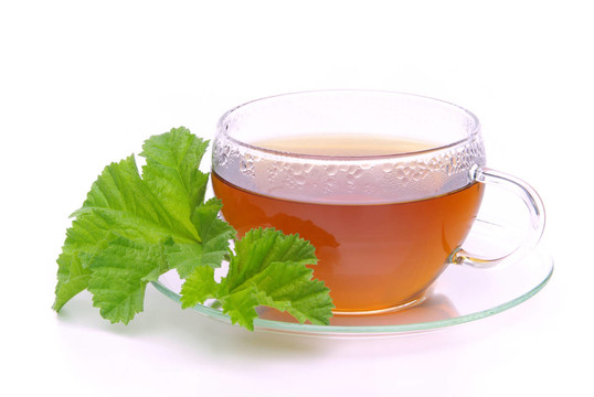 TEE MALVE茶錦葵02