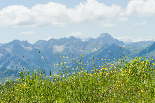 山山-阿爾高- Nebelhorn