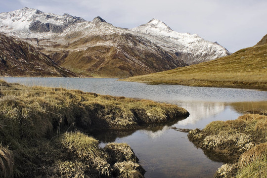 lucomagnopass
