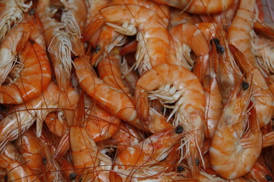 食品