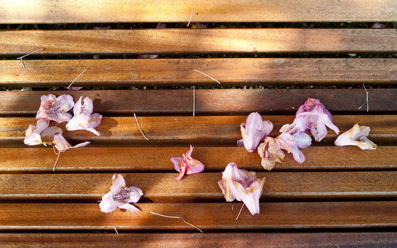 開花
