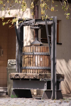 酒